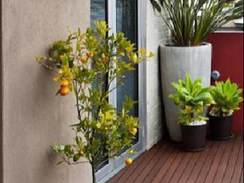 Twofourtwo Boutique Apartments Launceston Esterno foto
